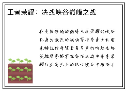 王者荣耀：决战峡谷巅峰之战