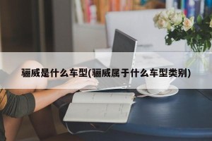 骊威是什么车型(骊威属于什么车型类别)
