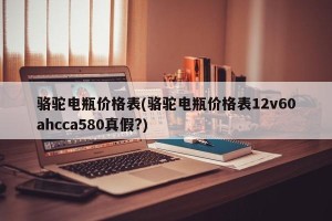骆驼电瓶价格表(骆驼电瓶价格表12v60ahcca580真假?)