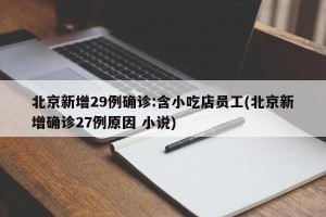 北京新增29例确诊:含小吃店员工(北京新增确诊27例原因 小说)