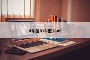 d车型/D车型1809