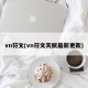 vn符文(vn符文天赋最新更新)