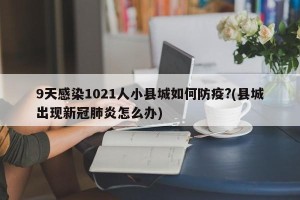 9天感染1021人小县城如何防疫?(县城出现新冠肺炎怎么办)