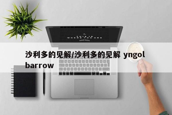 沙利多的见解/沙利多的见解 yngol barrow