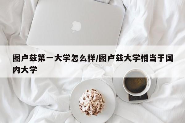 图卢兹第一大学怎么样/图卢兹大学相当于国内大学